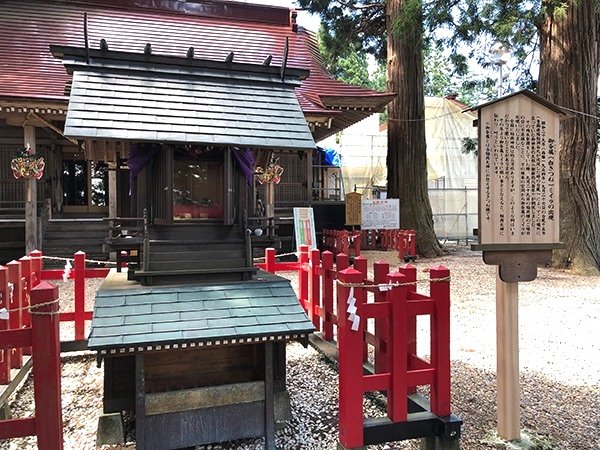 御眷属(ごけんぞく)白キツネのミイラの出現