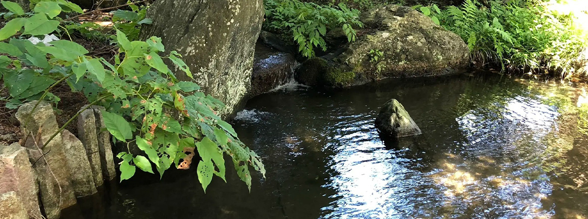 志和古稲荷神社周辺の四季